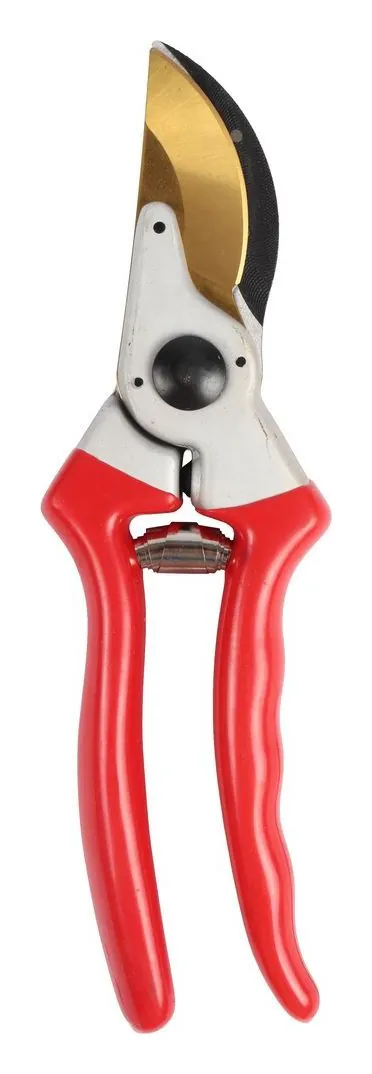 Talen Tools F191 snoeischaar professioneel, titanium, voorbijsnijdend